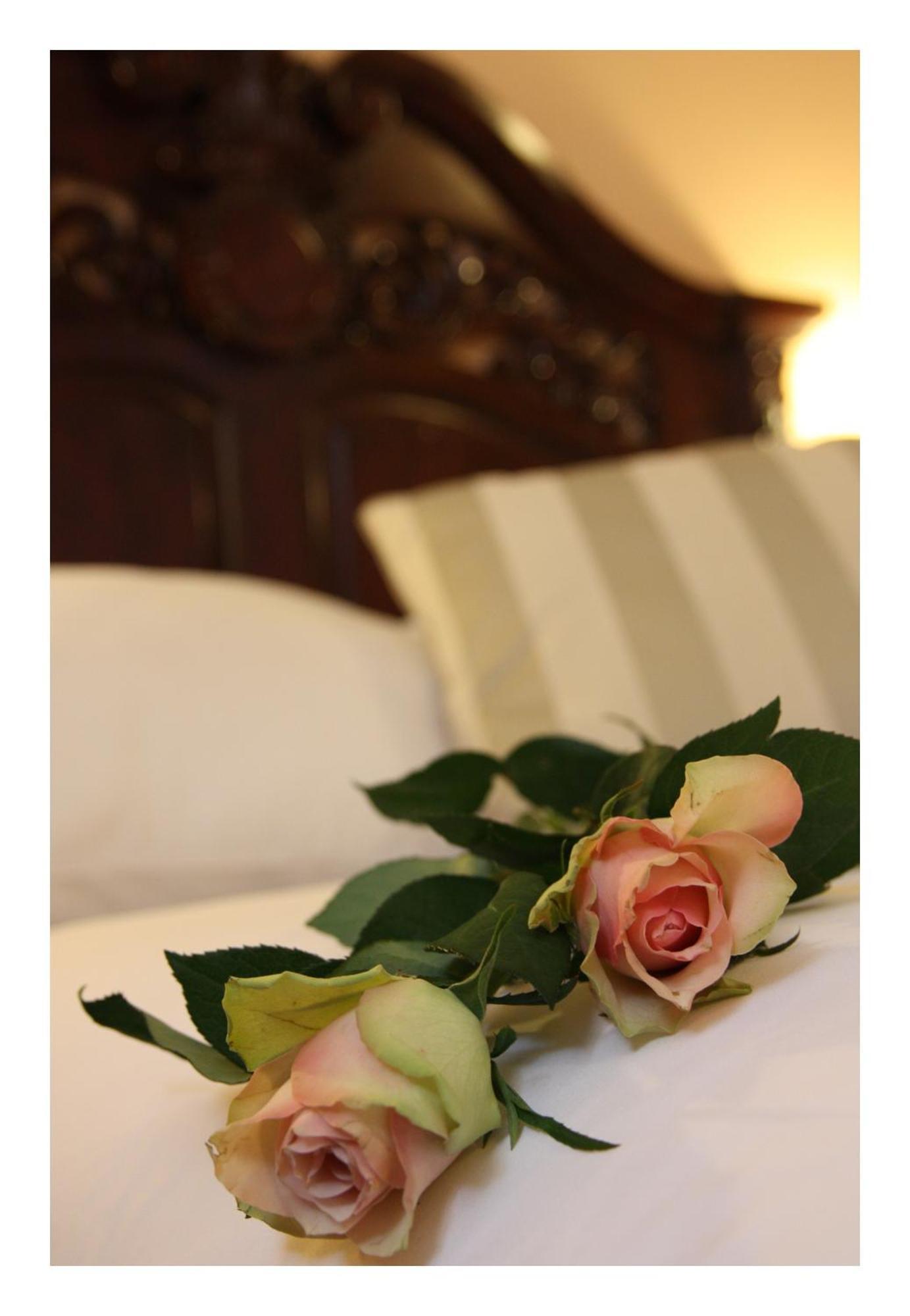 Otel Golden Age 3*